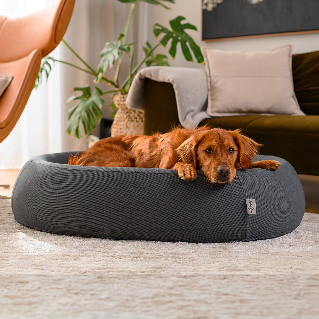 Dog Bed