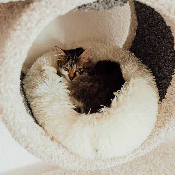 Deep Sleep Cat Bed