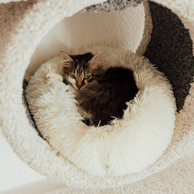 Deep Sleep Cat Bed