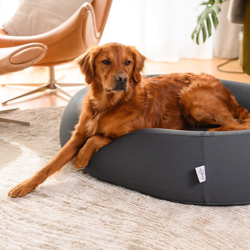 Nest Dog Bed