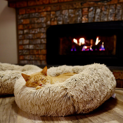 Deep Sleep Cat Bed