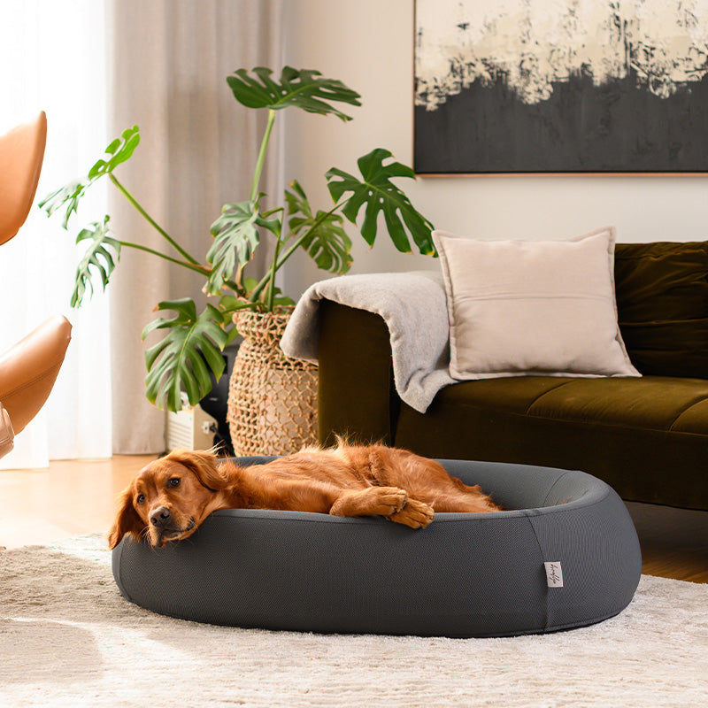 Nest Dog Bed