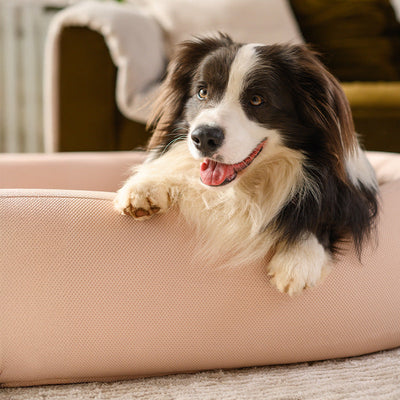 Nest Dog Bed