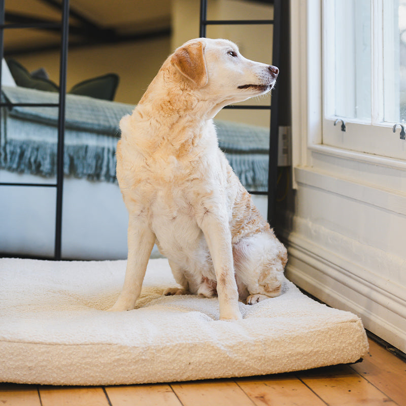 Cooling Durable Boucle Cover