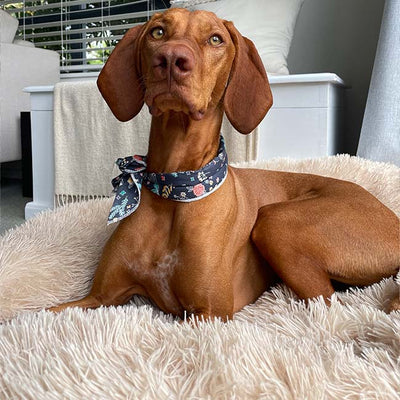 Deep Sleep Pet Bed