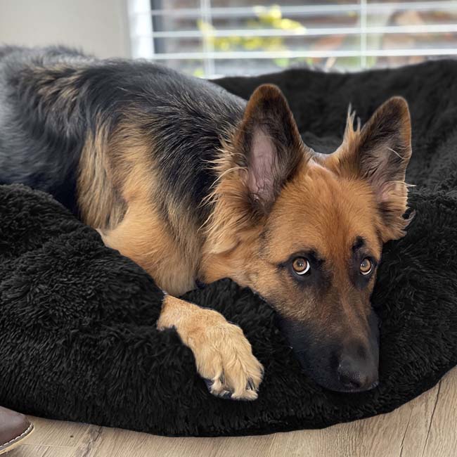 Deep Sleep Pet Bed