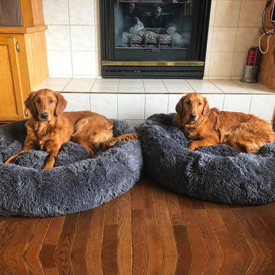 Deep Sleep Pet Bed