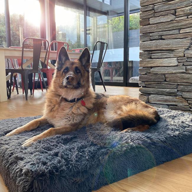 Ultra Memory Foam Bed