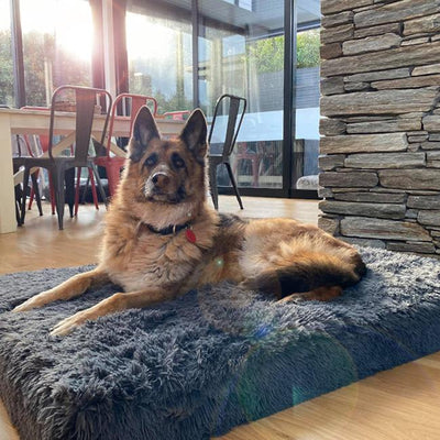Ultra Memory Foam Bed