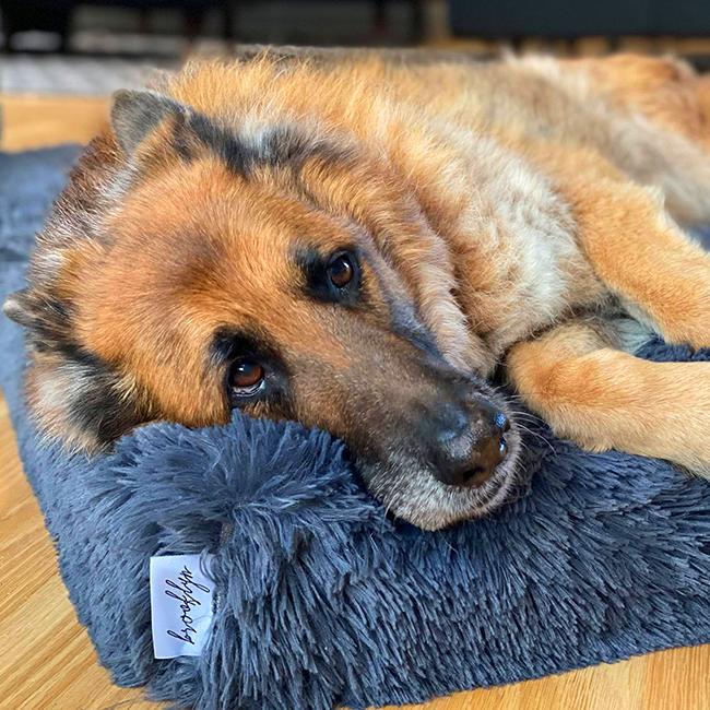 Ultra Memory Foam Bed
