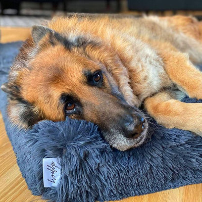 Ultra Memory Foam Bed