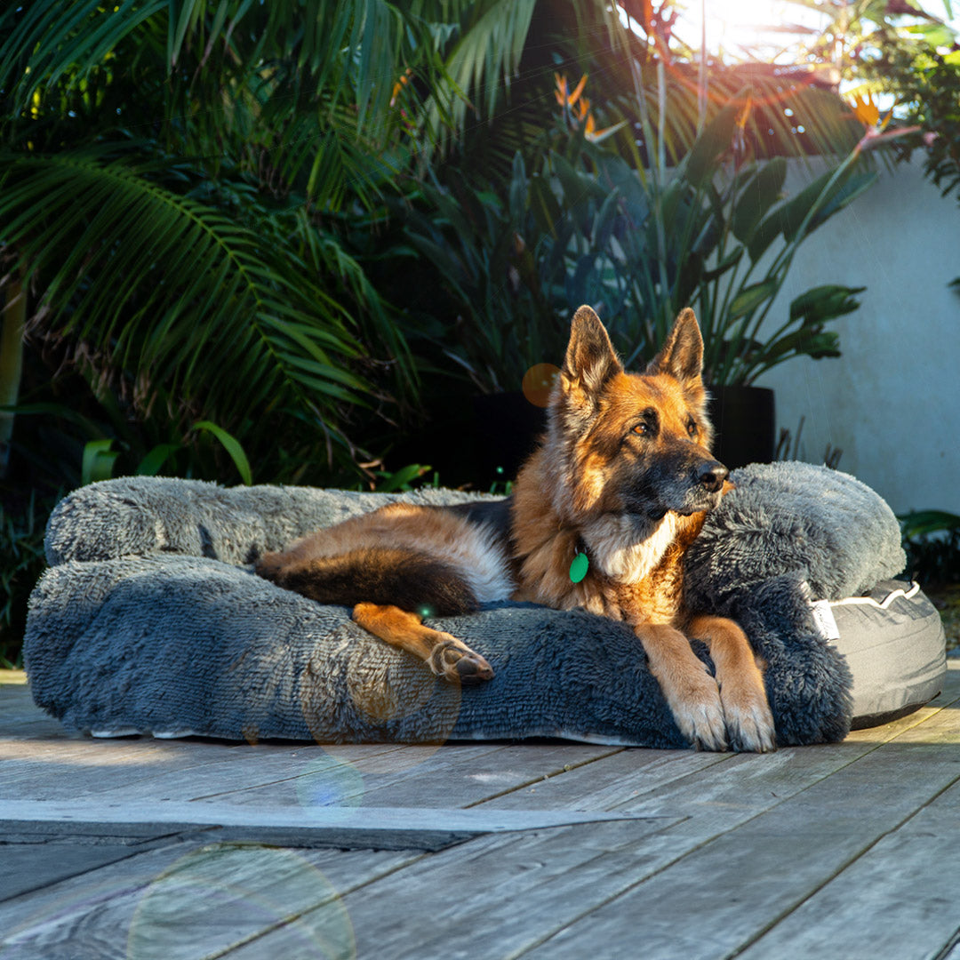 Chew Proof Luxe Lounger (2-in-1 Dog Bed)