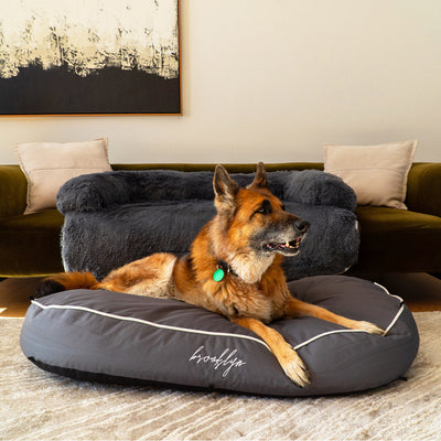 Chew Proof Luxe Lounger (2-in-1 Dog Bed)