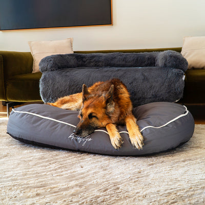 Chew Proof Luxe Lounger (2-in-1 Dog Bed)