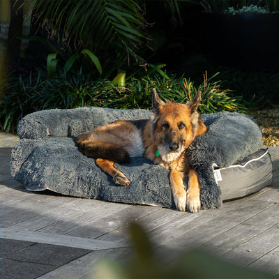 Chew Proof Luxe Lounger (2-in-1 Dog Bed)