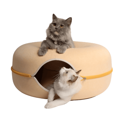 Lemon Macarons Peekaboo