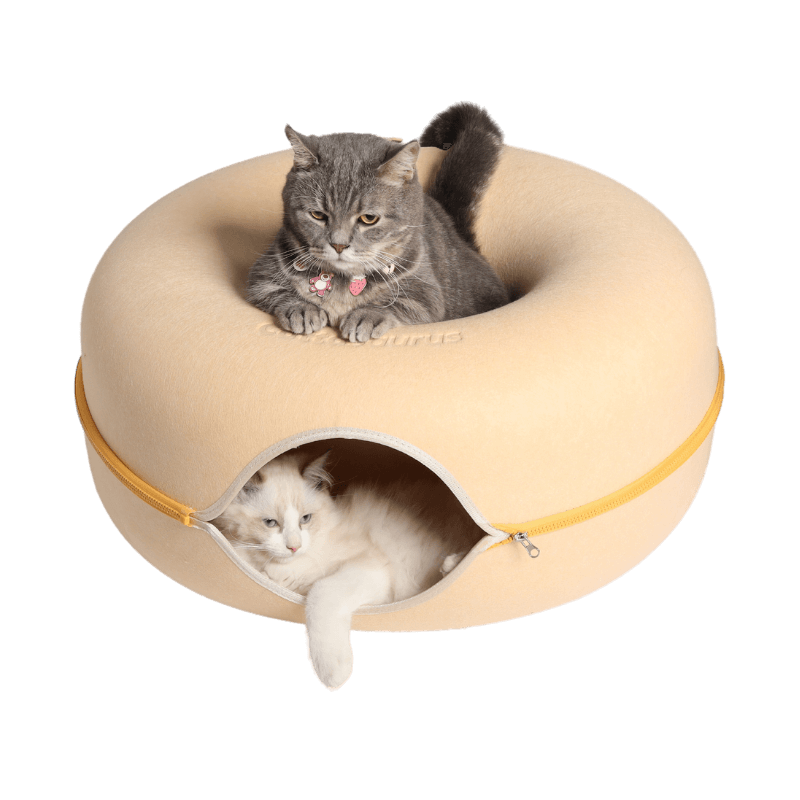 Lemon Macarons Peekaboo