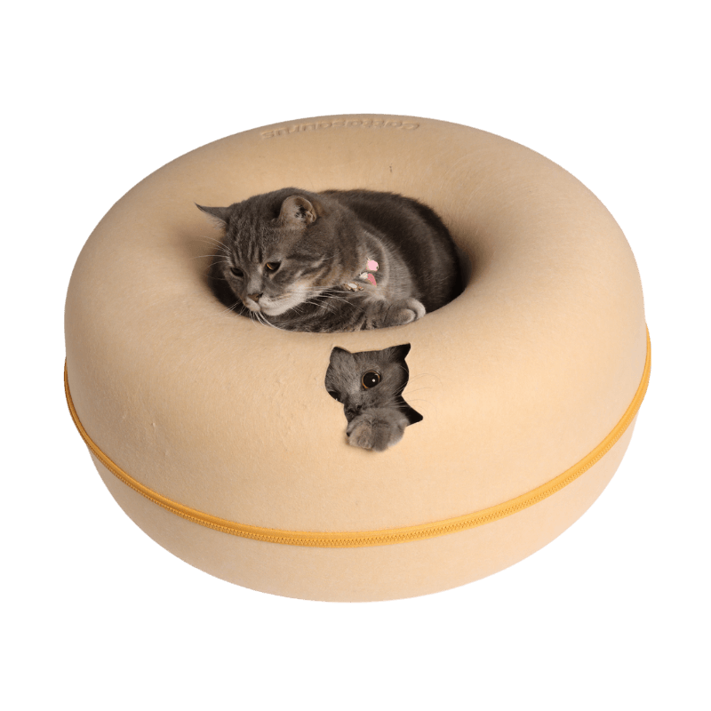 Lemon Macarons Peekaboo