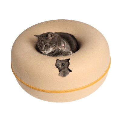 Lemon Macarons Peekaboo