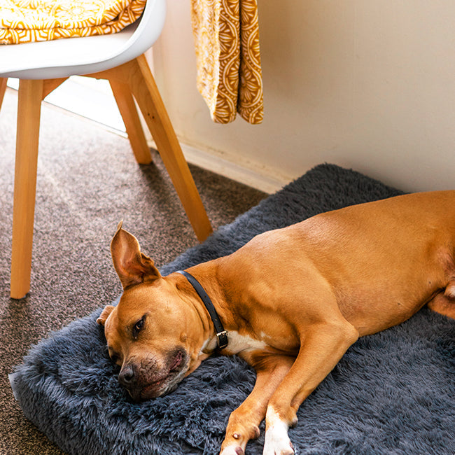 Ultra Memory Foam Bed