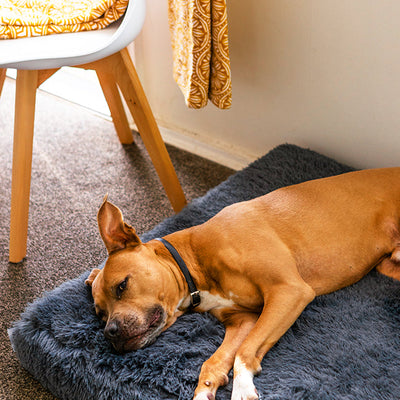 Ultra Memory Foam Bed