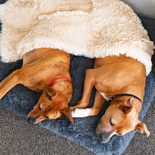 Ultra Memory Foam Bed