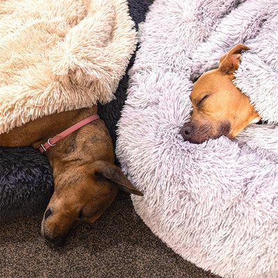 Deep Sleep Throw