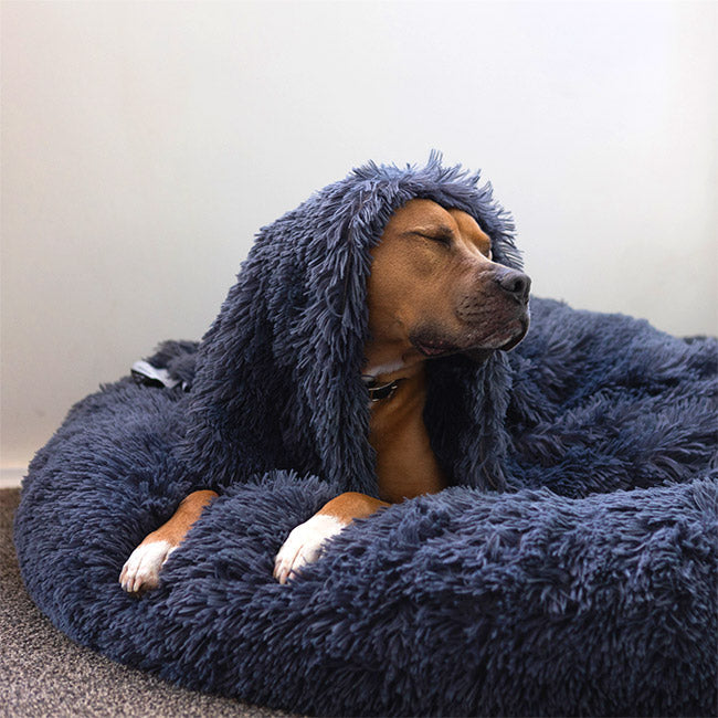 Deep Sleep Throw