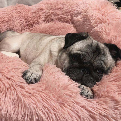 Deep Sleep Pet Bed