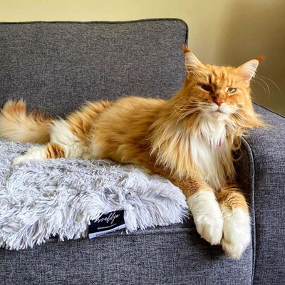 Deep Sleep Throw