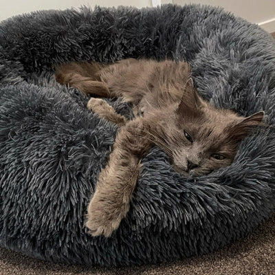 Deep Sleep Cat Bed