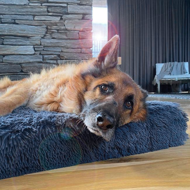 Ultra Memory Foam Bed