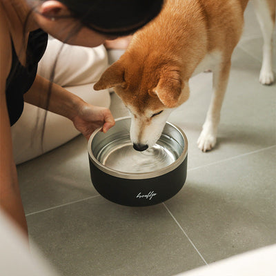 Tuff Dog Bowl