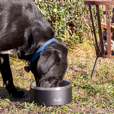 Tuff Dog Bowl