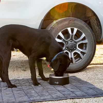 Tuff Dog Bowl