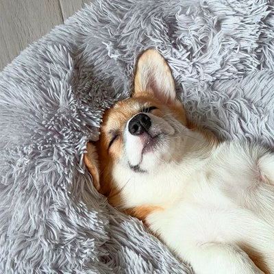 Deep Sleep Pet Bed