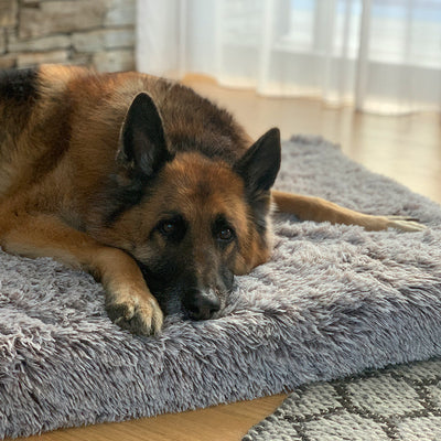 Ultra Memory Foam Bed
