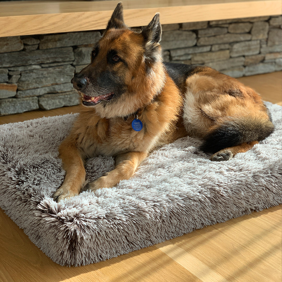 Ultra Memory Foam Bed