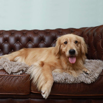 Deep Sleep Throw