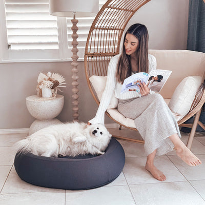 Nest Dog Bed