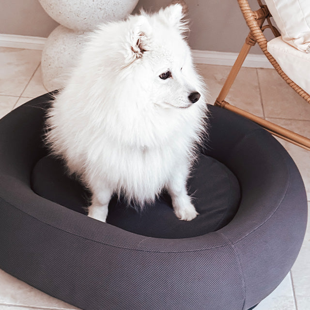 Nest Dog Bed