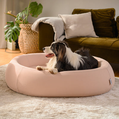 Nest Dog Bed