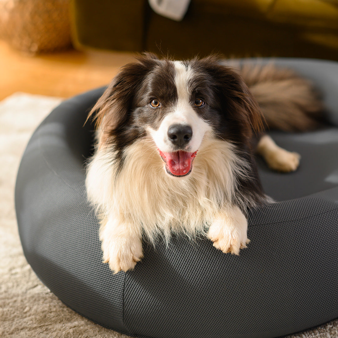 Nest Dog Bed