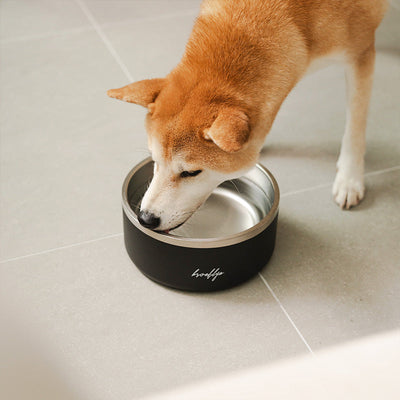 Tuff Dog Bowl