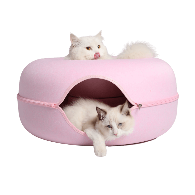Cotton Candy Peekaboo