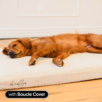 Ultra Memory Foam Bed