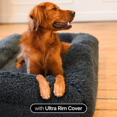 Ultra Memory Foam Bed