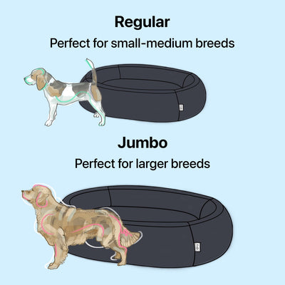 Nest Dog Bed